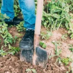 7-blogi-sodininkavimo-iprociai-kuriuos-turi-visi-jie-gadina-darza.webp.webp
