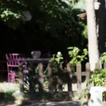 kodel-prie-namu-nesodinti-berzu-ir-tuopu-zenklai-ir-sveikas.webp.webp