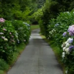 pagrazinkite-savo-kiema-geliu-kurias-galima-sodinti-salia-namu-sarasas.webp.webp