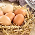 8-klaidos-kurias-darote-tvarkydami-ir-laikydami-kiausinius.webp.webp